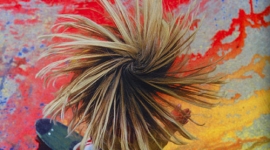 Skateboard: Evolution & Art in California